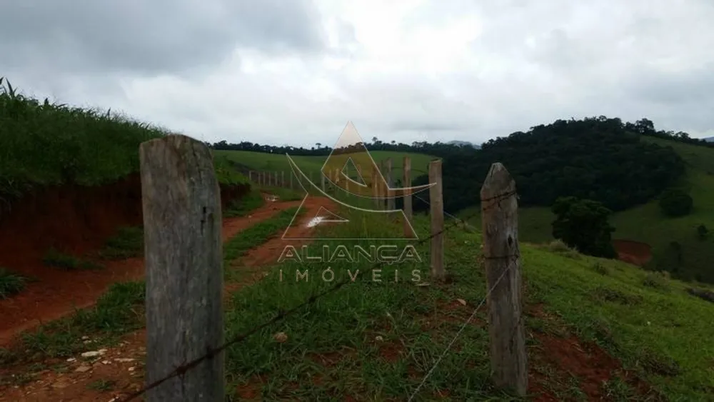 Fazenda, 237 hectares - Foto 7