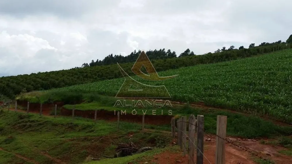 Fazenda, 237 hectares - Foto 8