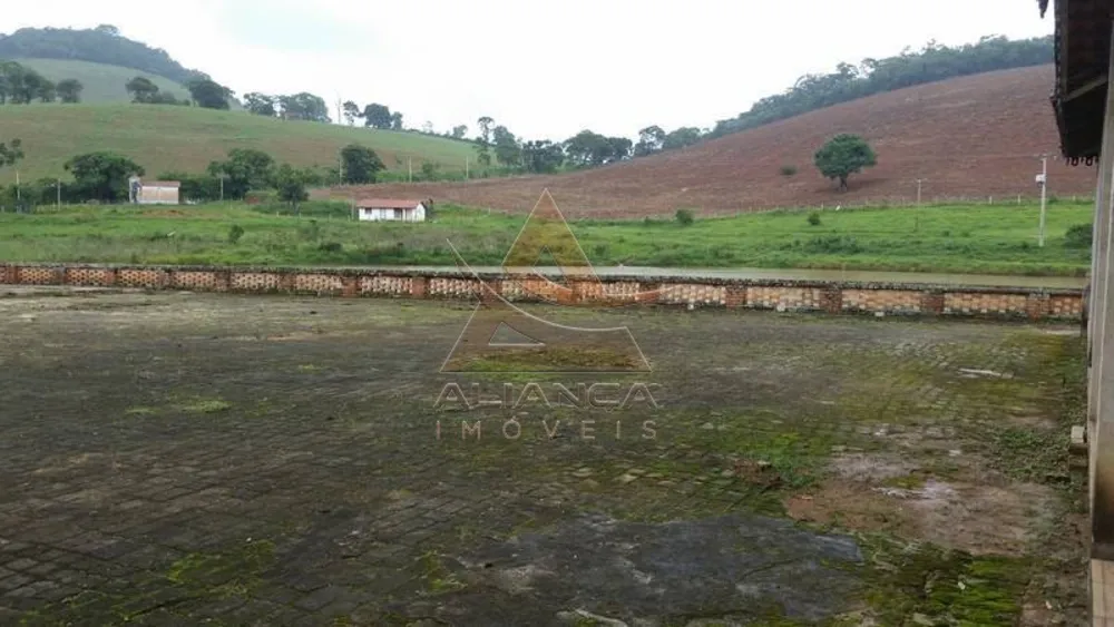 Fazenda, 237 hectares - Foto 4