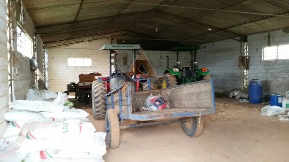 Fazenda, 237 hectares - Foto 6