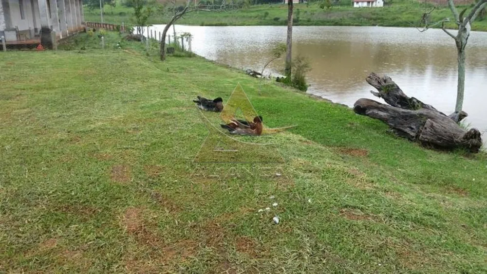 Fazenda, 237 hectares - Foto 3