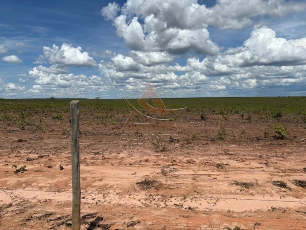 Fazenda, 29000 hectares - Foto 4