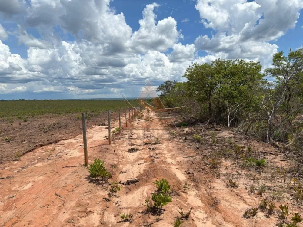 Fazenda, 29000 hectares - Foto 4