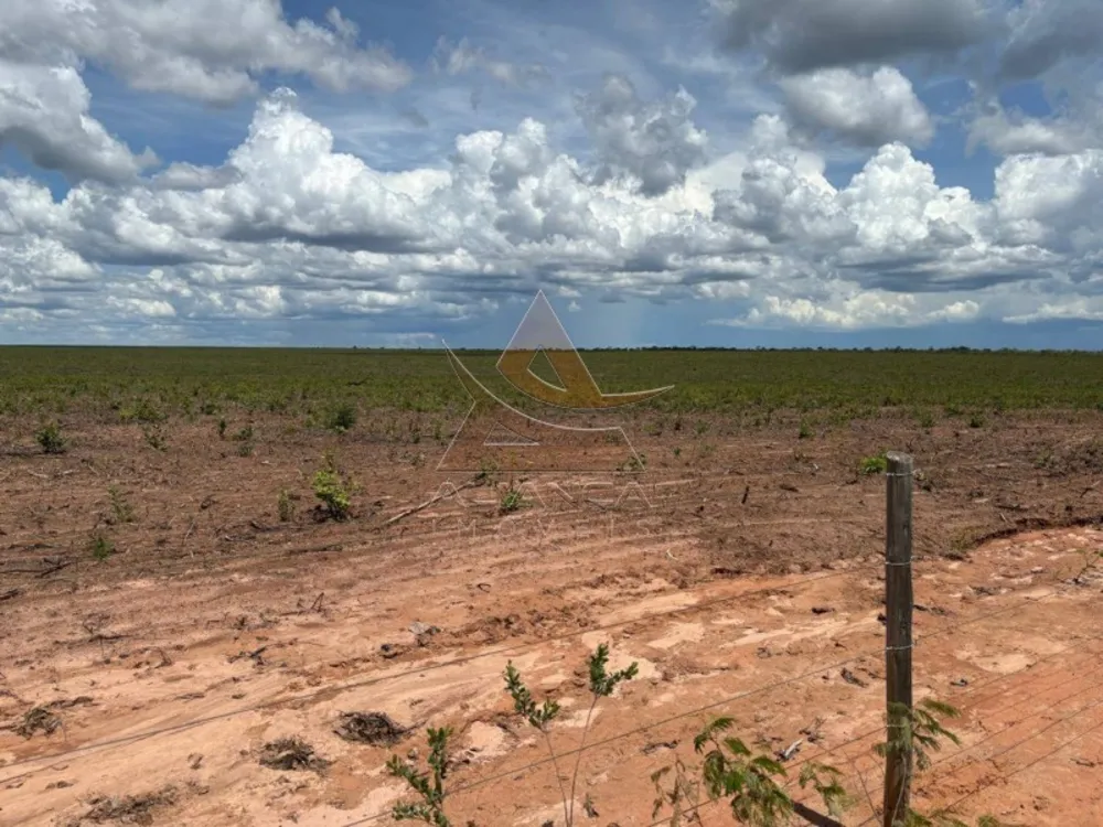 Fazenda, 29000 hectares - Foto 2