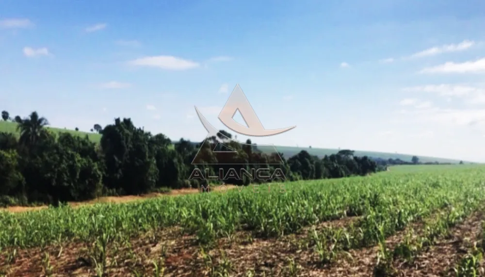 Fazenda, 518 hectares - Foto 3