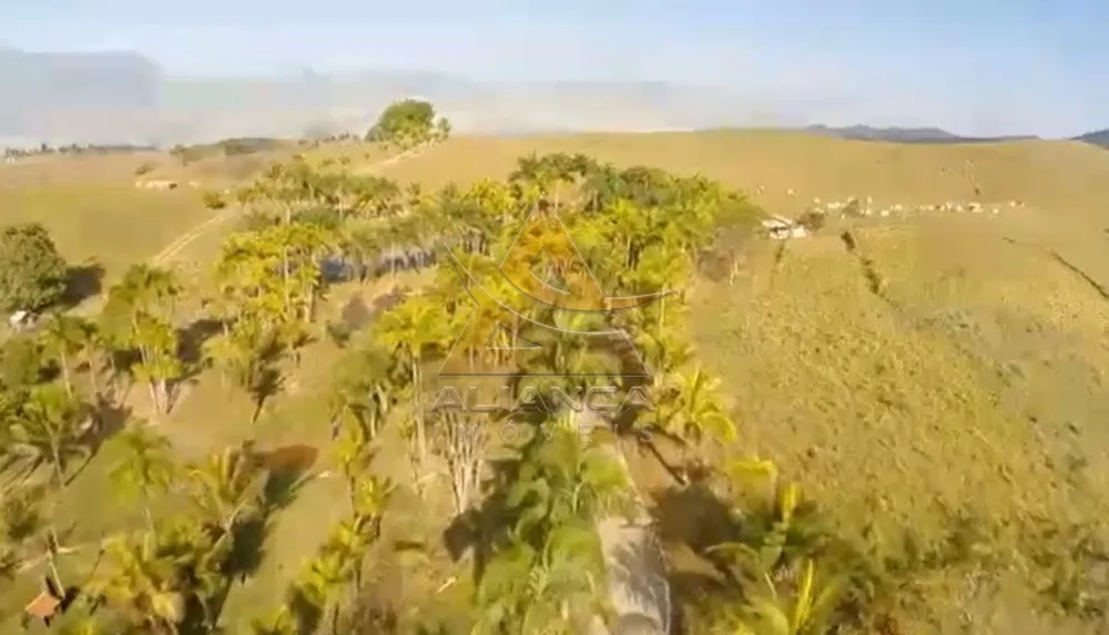 Fazenda, 145 hectares - Foto 1