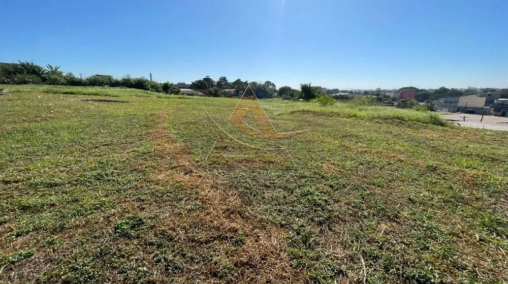 Terreno, 5822 m² - Foto 7