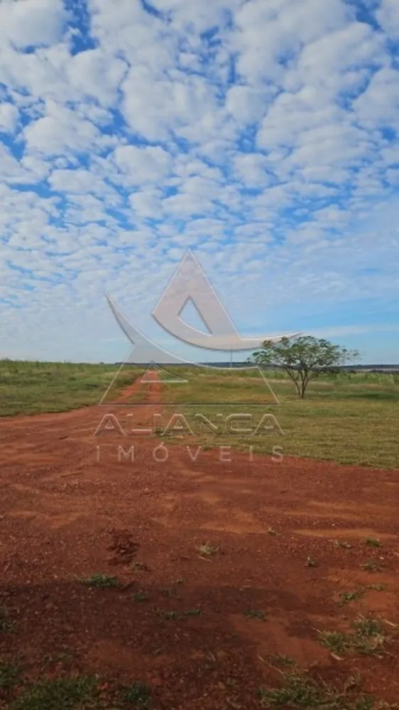 Fazenda, 100 hectares - Foto 7