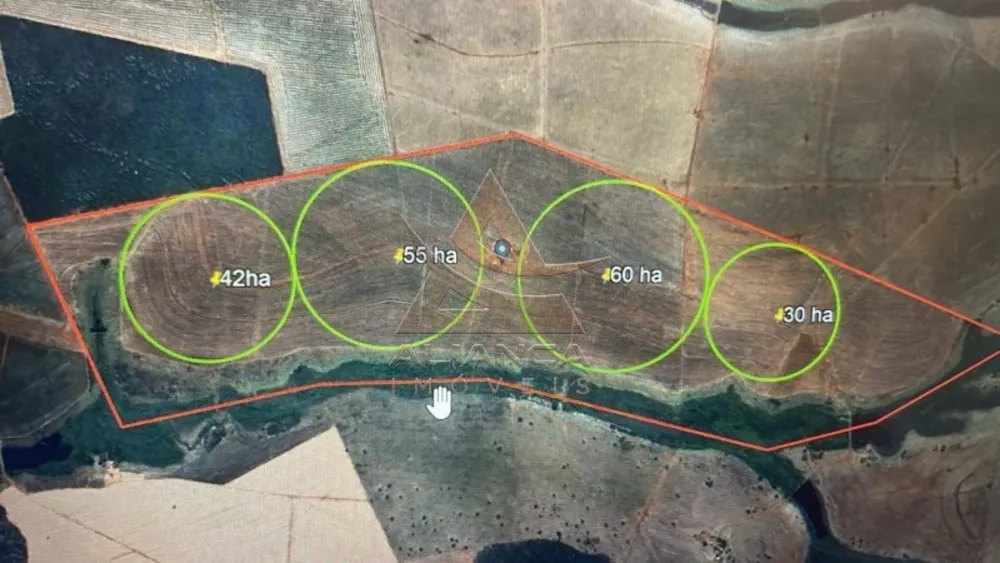 Fazenda, 100 hectares - Foto 8