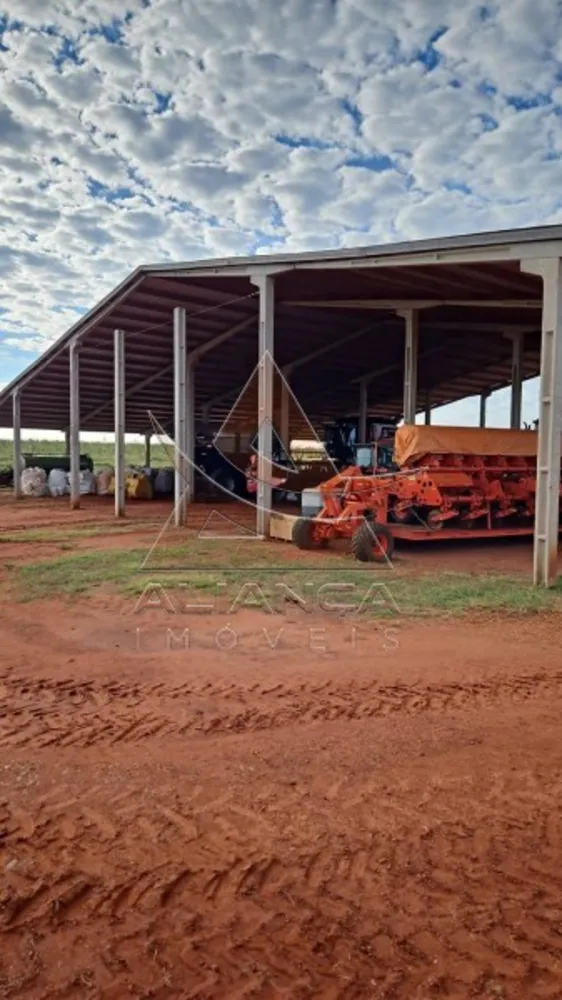 Fazenda, 100 hectares - Foto 3