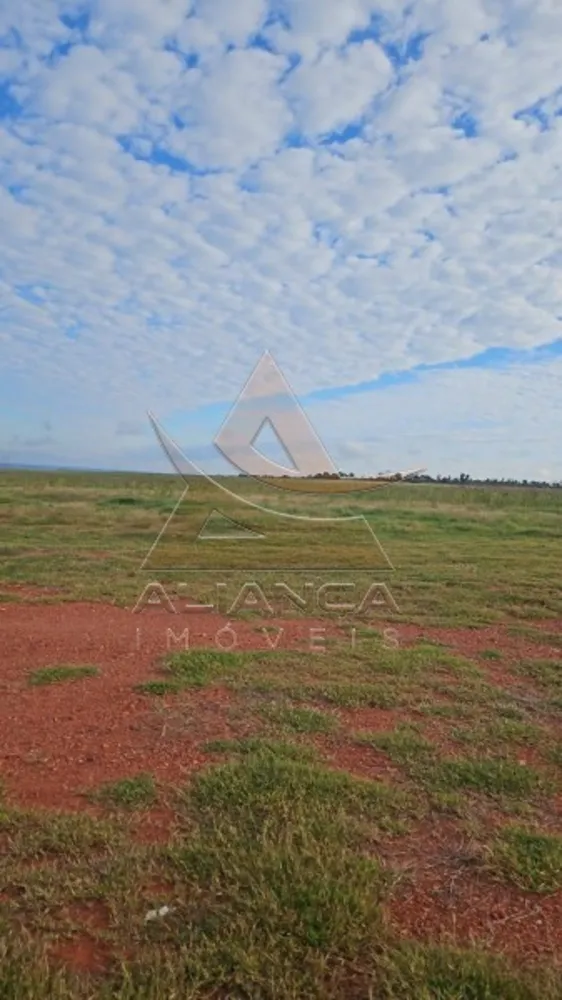 Fazenda, 100 hectares - Foto 6