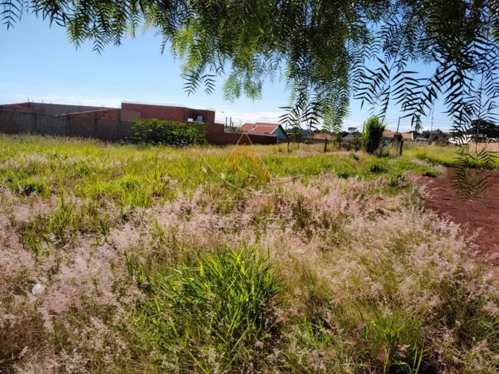 Terreno, 285 m² - Foto 3