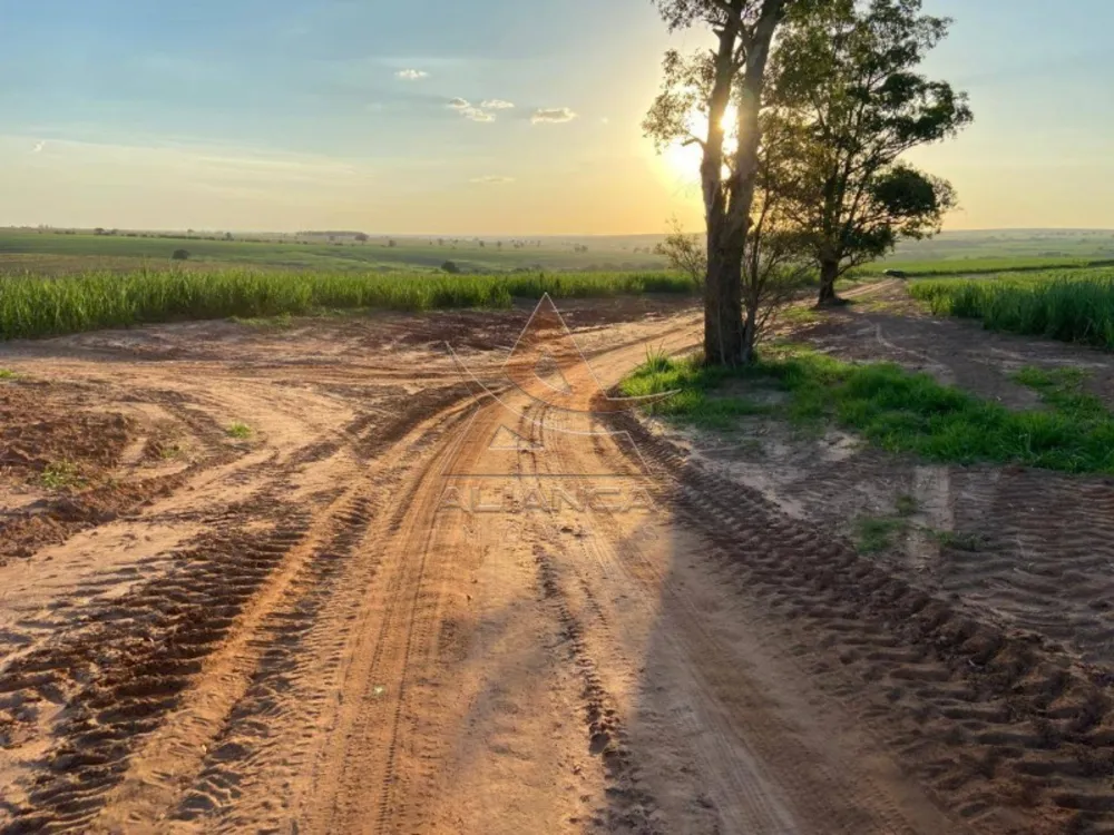 Fazenda, 2 hectares - Foto 2