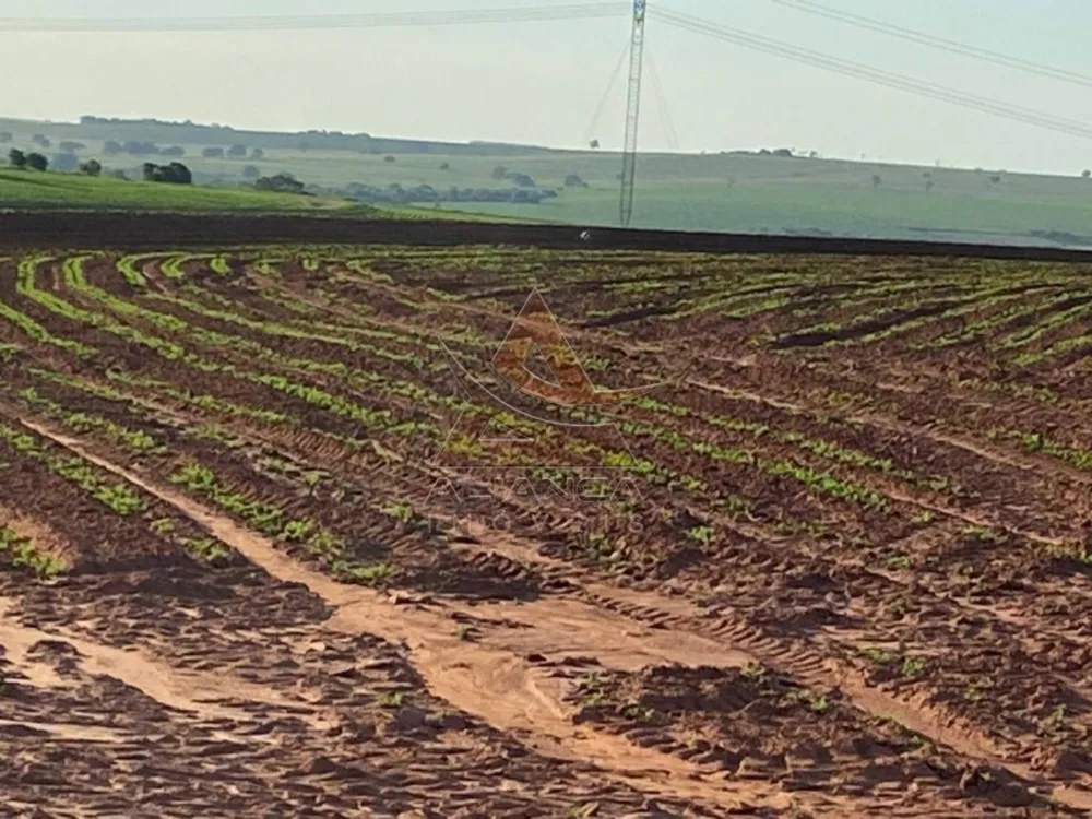 Fazenda, 2 hectares - Foto 7
