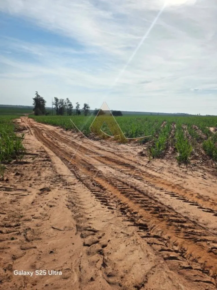 Fazenda, 2 hectares - Foto 3