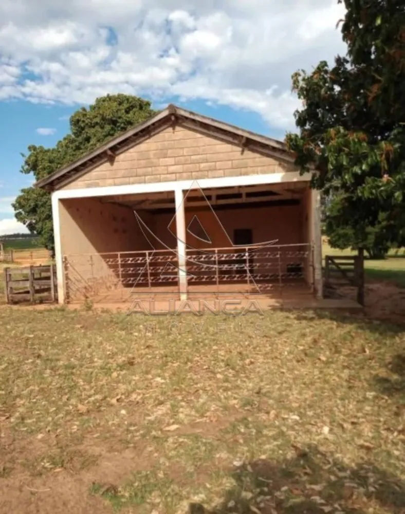 Fazenda, 2 hectares - Foto 4