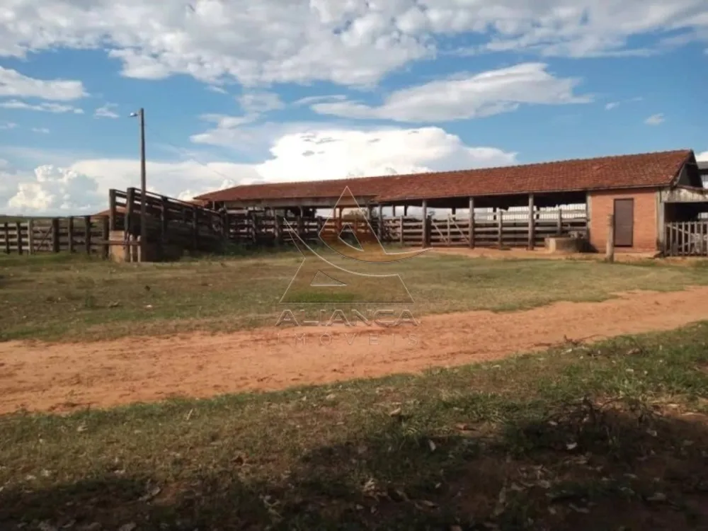 Fazenda, 2 hectares - Foto 1