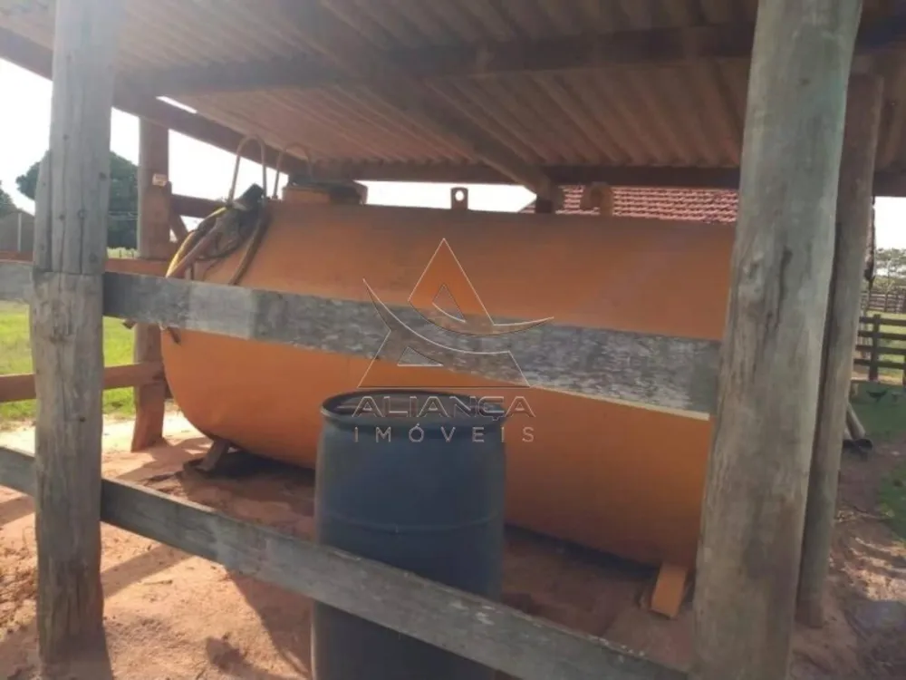 Fazenda, 2 hectares - Foto 6