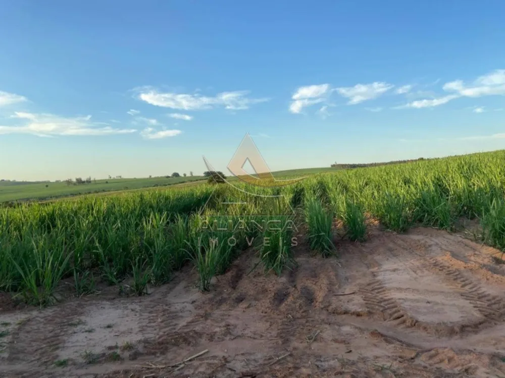 Fazenda, 2 hectares - Foto 4