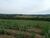 Fazenda, 690 hectares - Foto 2