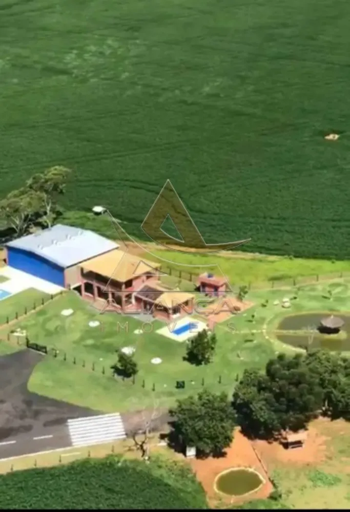 Fazenda, 237 hectares - Foto 6