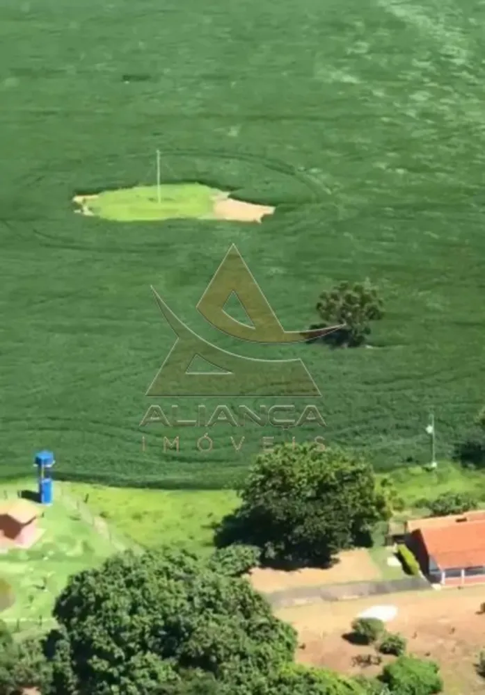 Fazenda, 237 hectares - Foto 7