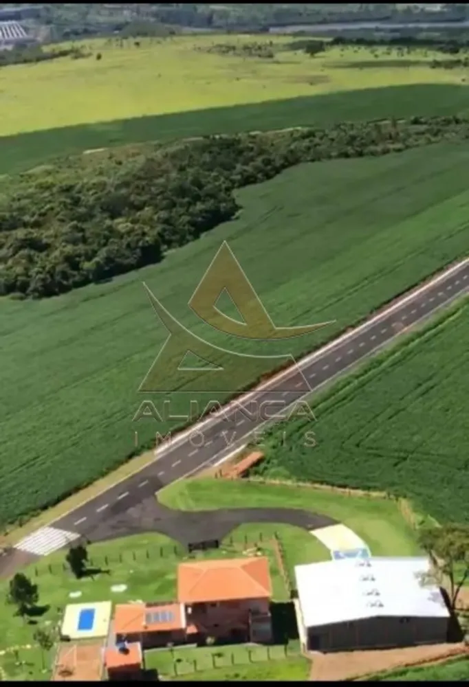 Fazenda, 237 hectares - Foto 4