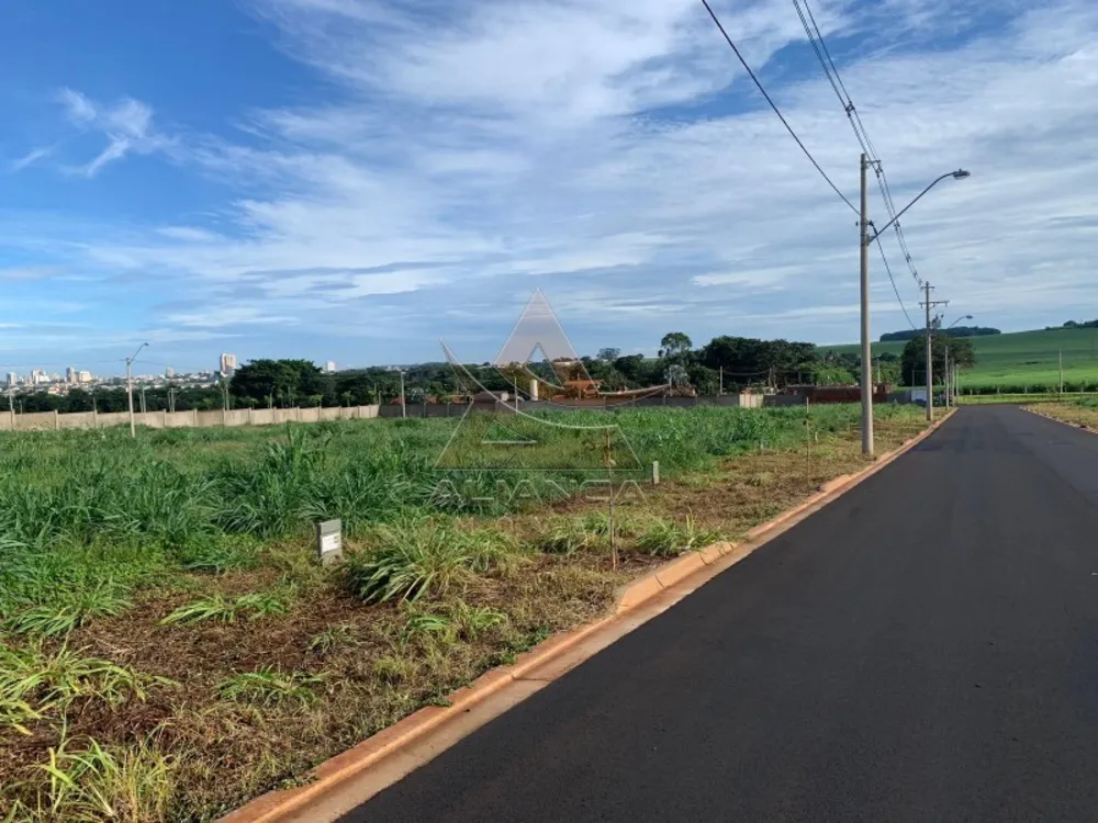 Terreno, 250 m² - Foto 4