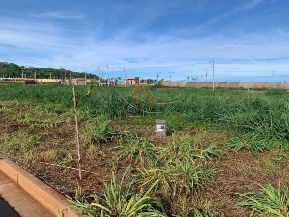 Terreno, 250 m² - Foto 8