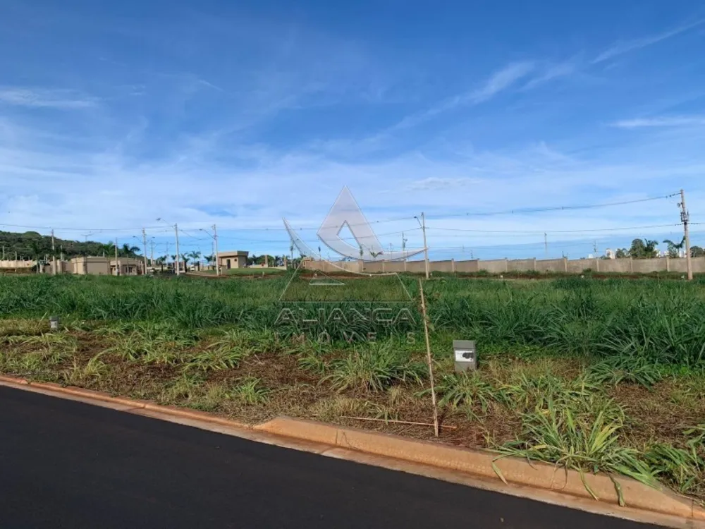 Terreno, 250 m² - Foto 7