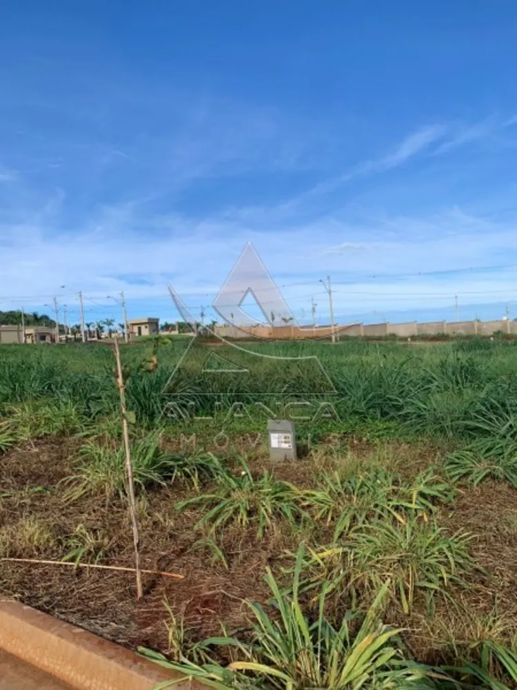 Terreno, 250 m² - Foto 3