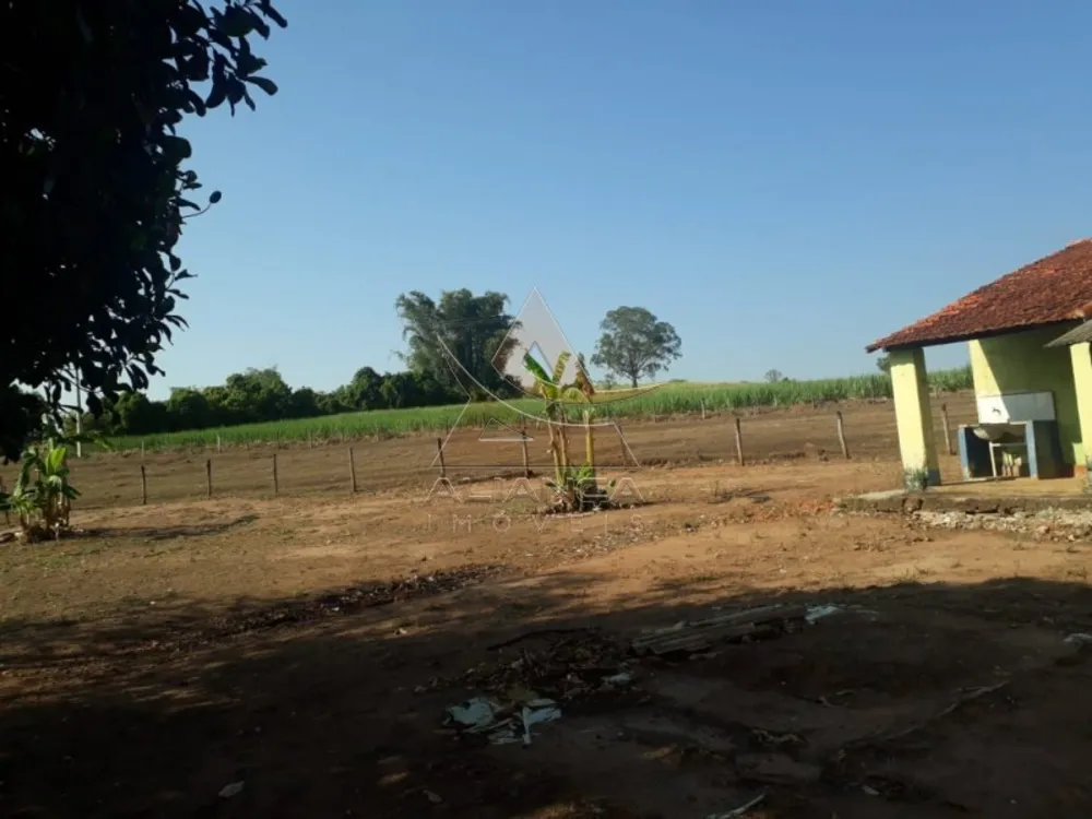 Fazenda, 215 hectares - Foto 1