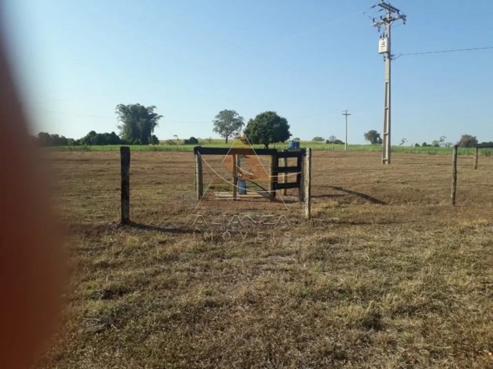 Fazenda, 215 hectares - Foto 2