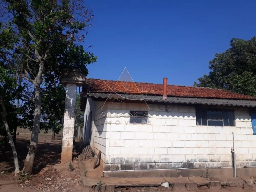 Fazenda, 215 hectares - Foto 7