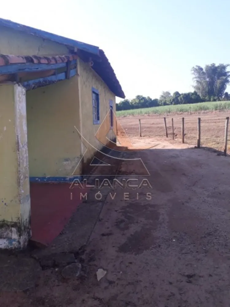 Fazenda, 215 hectares - Foto 3