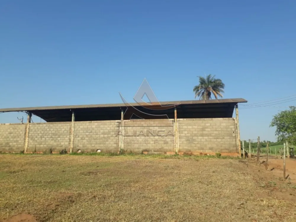 Fazenda, 215 hectares - Foto 4