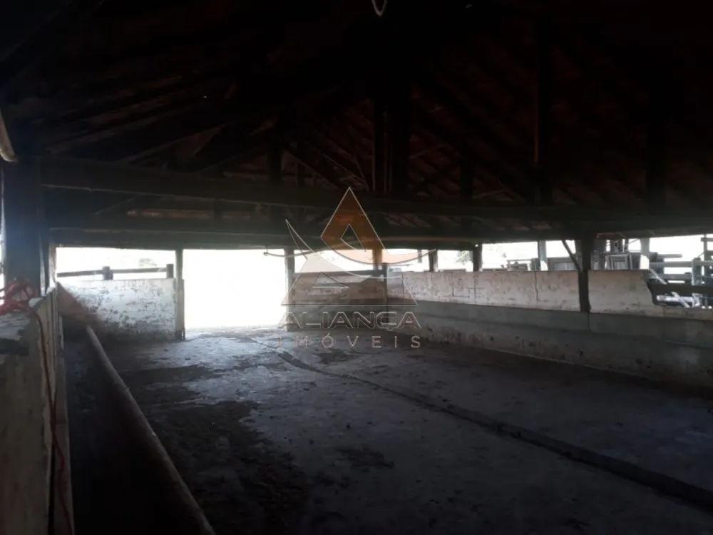 Fazenda, 215 hectares - Foto 8