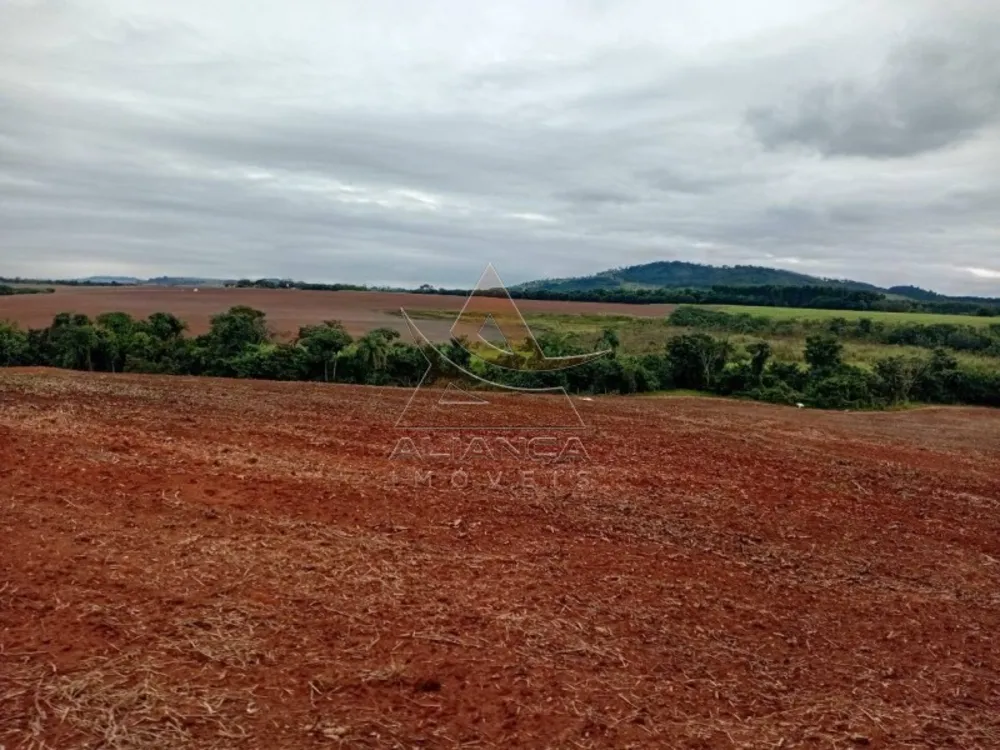 Sítio, 1 quarto, 29 hectares - Foto 2