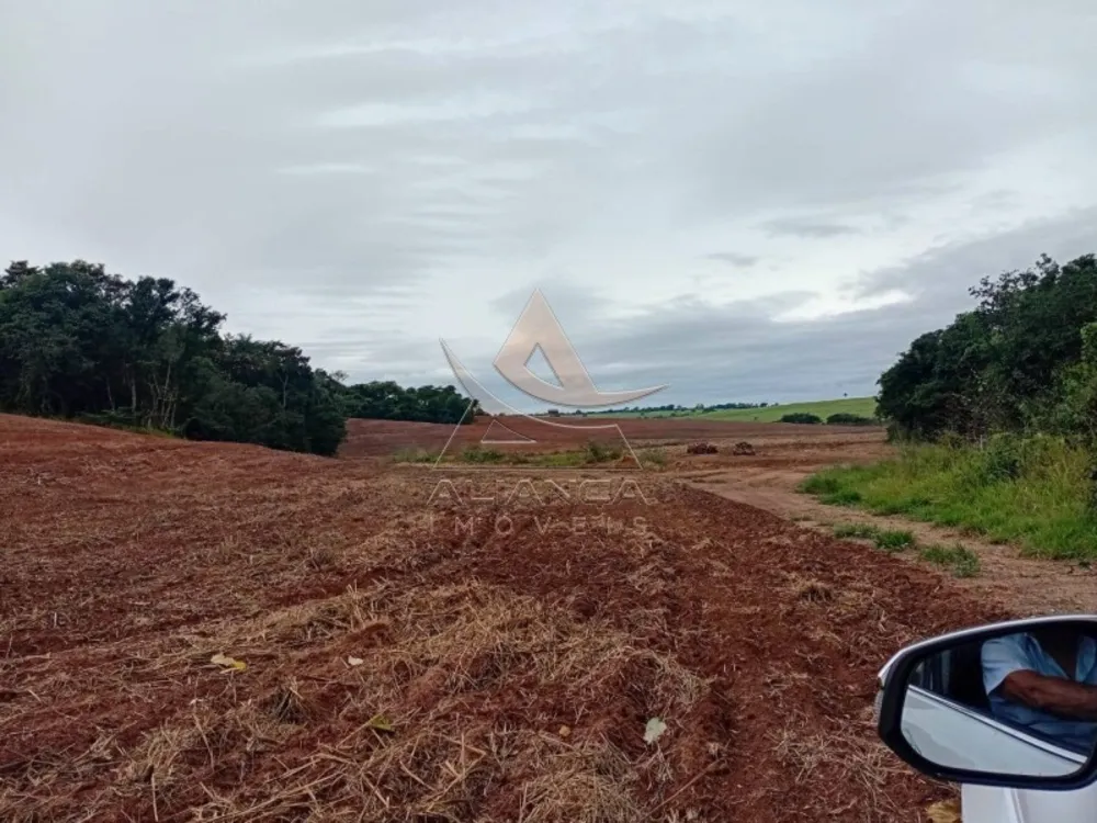 Sítio, 1 quarto, 29 hectares - Foto 3