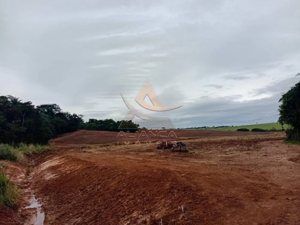Sítio, 1 quarto, 29 hectares - Foto 4