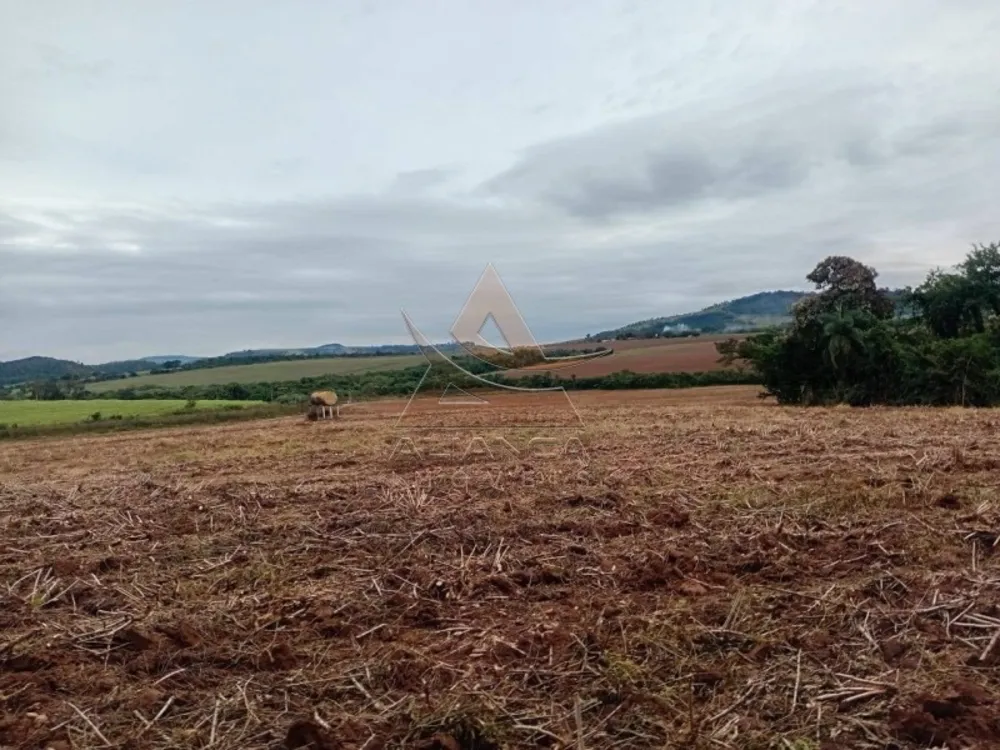 Sítio, 1 quarto, 29 hectares - Foto 1