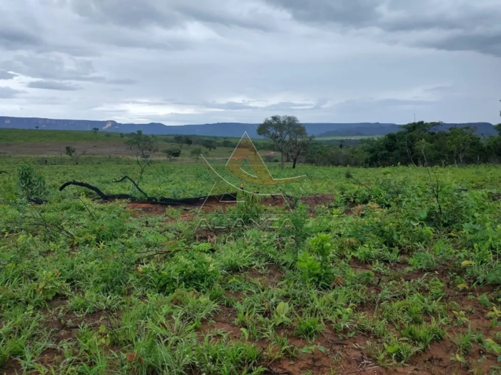 Fazenda, 2222 hectares - Foto 1