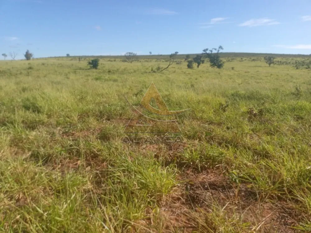Fazenda, 2222 hectares - Foto 3