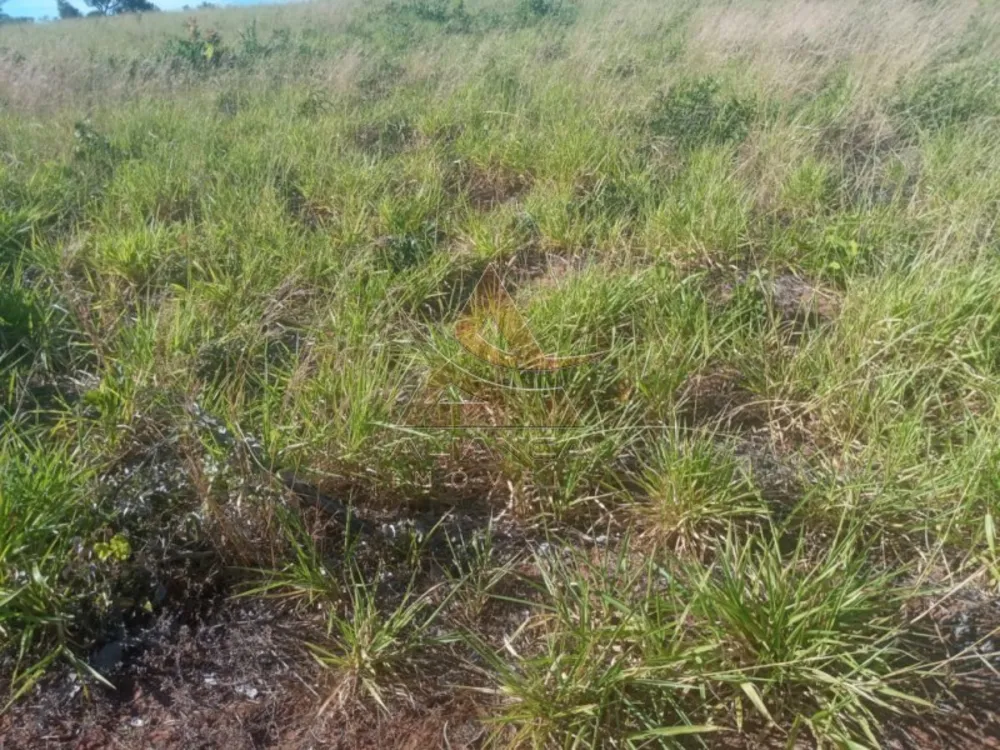 Fazenda, 2222 hectares - Foto 7