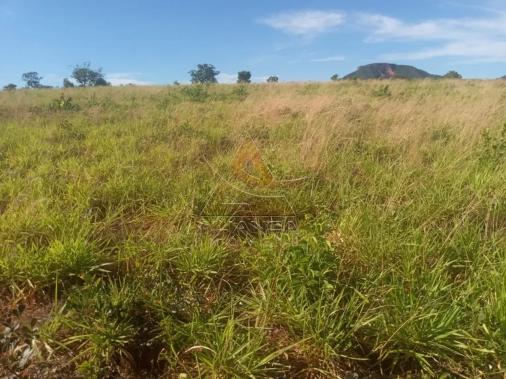 Fazenda, 2222 hectares - Foto 2