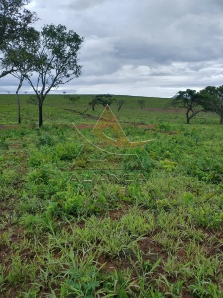 Fazenda, 2222 hectares - Foto 8