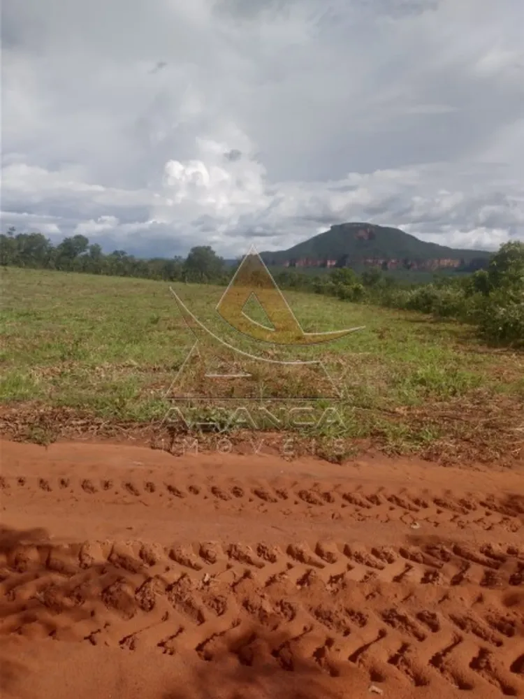 Fazenda, 2222 hectares - Foto 4