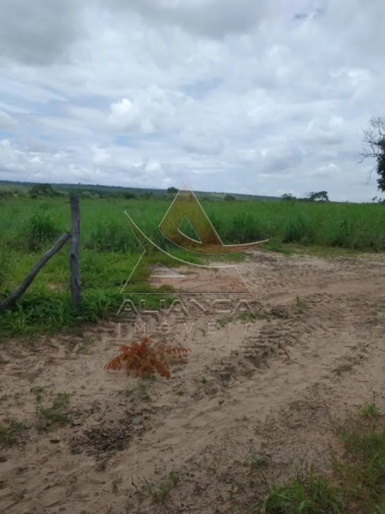 Fazenda, 2222 hectares - Foto 6