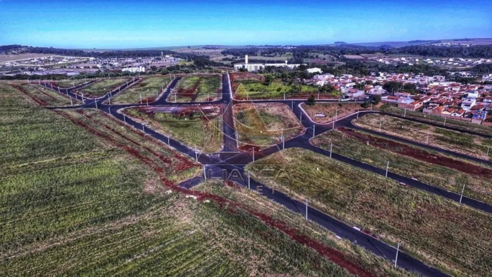 Terreno, 250 m² - Foto 5