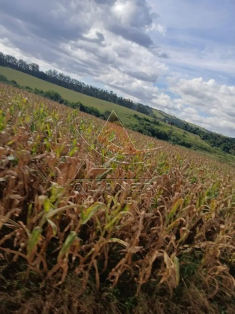 Fazenda, 140 hectares - Foto 6